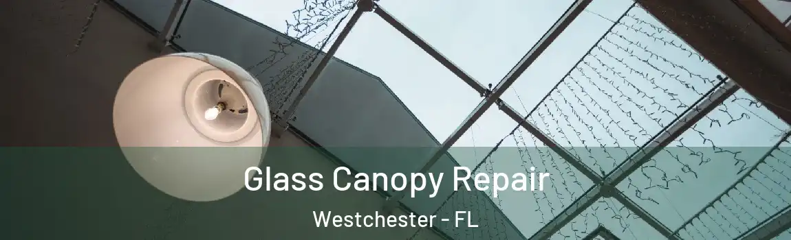  Glass Canopy Repair Westchester - FL