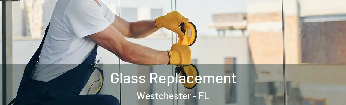 Glass Replacement Westchester - FL