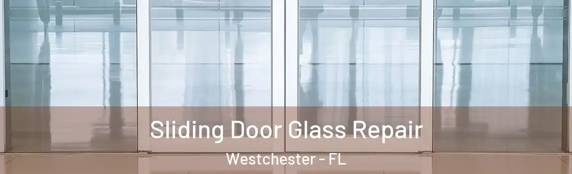 Sliding Door Glass Repair Westchester - FL