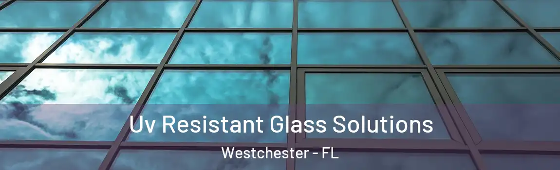  Uv Resistant Glass Solutions Westchester - FL