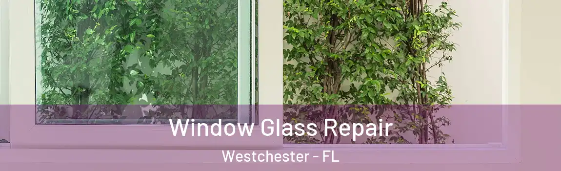  Window Glass Repair Westchester - FL